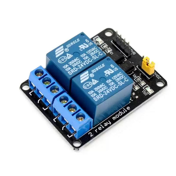 Relay Module (2 Channels - 24V)